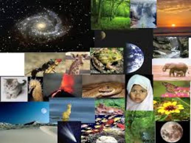 Clasificación de las ciencias