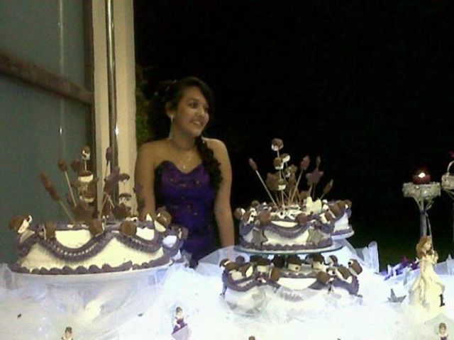 Celebración de fiesta de 15 años-Suzette