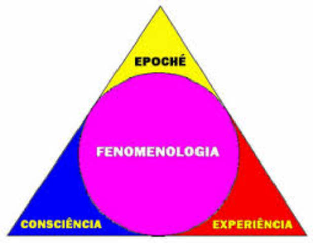 fenomenologia siglo xx  1901 a 2000