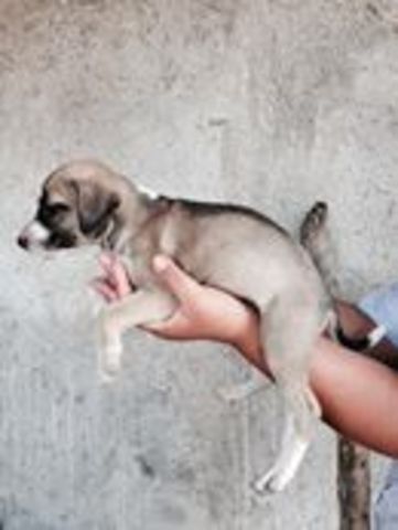 Participacion en asociación.