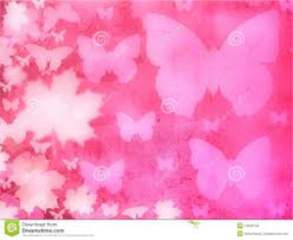 Fiesta de 15 años y viaje.