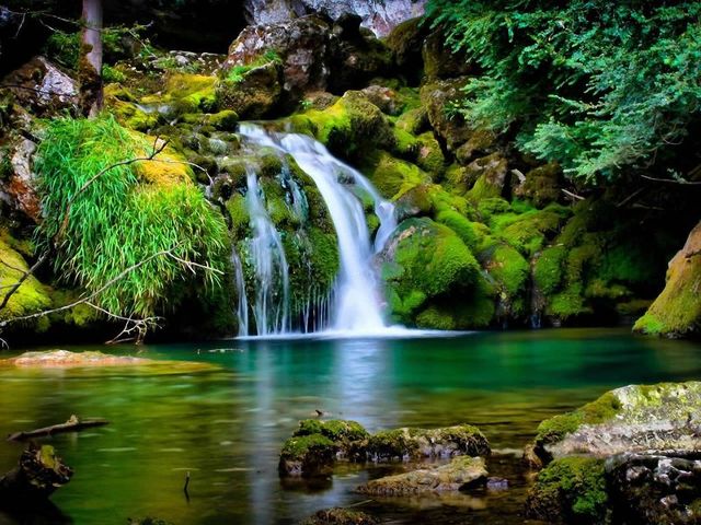Unión entre la ecologia científica y la toma de conciencia de las degradaciones del medio natural.