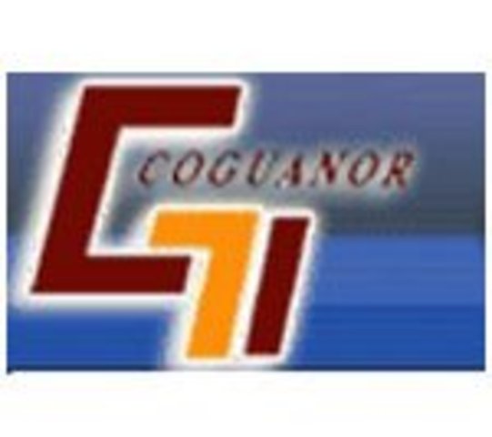 NORMAS COGUANOR