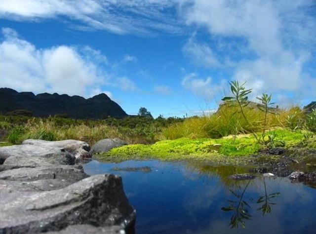 Una política pública para manejo de los efectos de cambio climático en el país (Colombia)