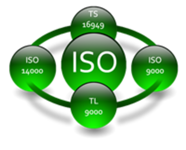publicación ISO 9000