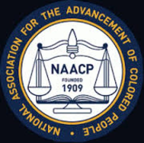 NAACP Formed