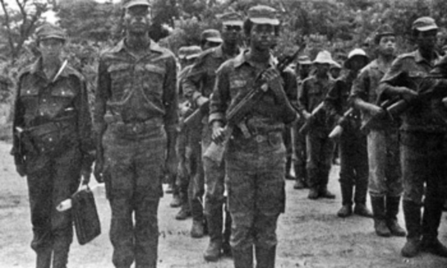 Mandela Helps Form Guerrilla Army