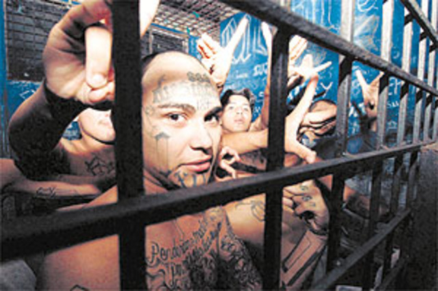 Aprueban ley antimaras