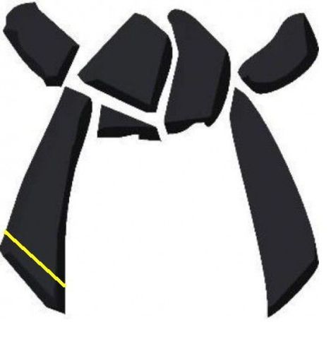 Cinturón Negro de Tae Kwon Do