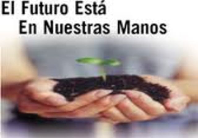 V Programa de Acción en Materia de Ambiente