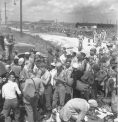 Repatrinated and Resettlement