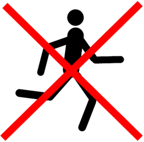 Brock and his friends