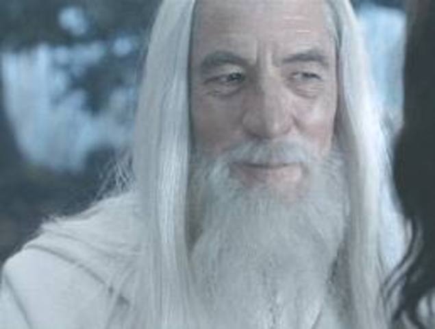 Aragorn Meets the White Rider