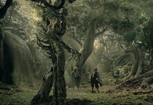 Merry and Pippin Meet Treebeard