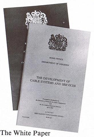 Introduction of White Paper (A.I)