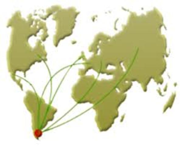 Se Comercializa la Produccion