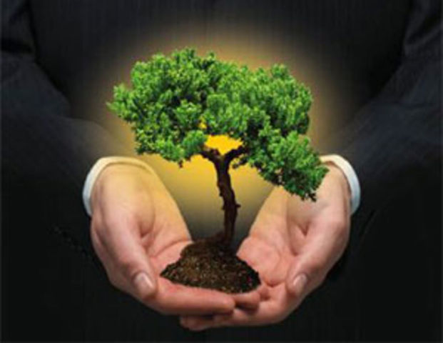 Desarrollo sostenible