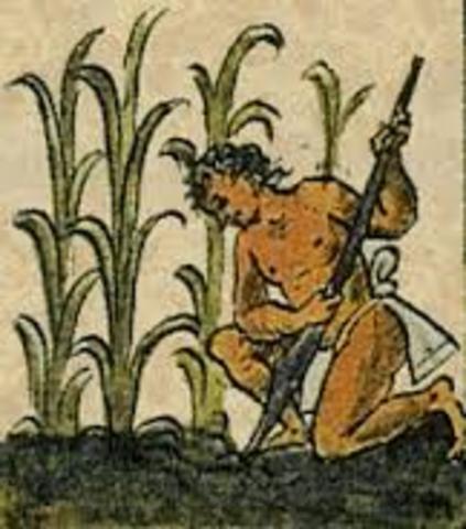 3000 antes de Cristo