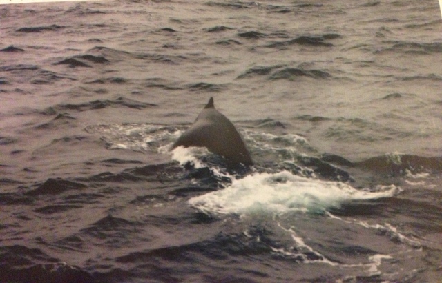 Viaje a la Boston, Massachusetts