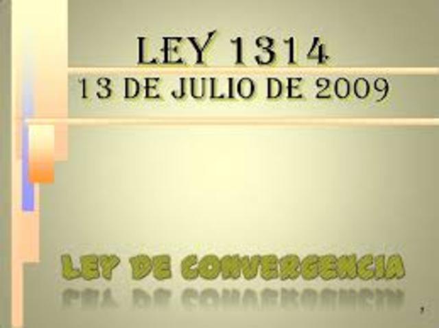 LEY 1314