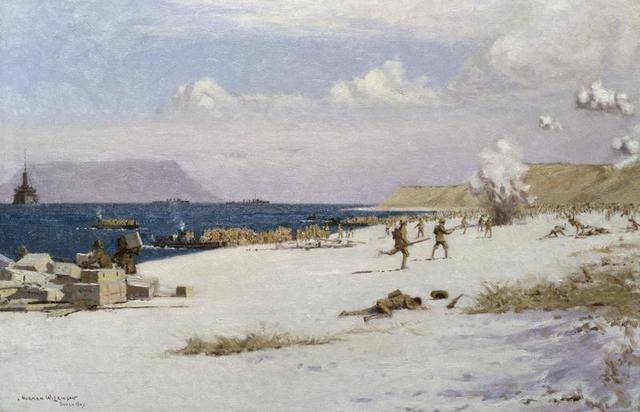 troops land in Gallipoli