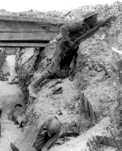 Australian and New Zealand Troops Fight at Pozières as a part of the Somme Campaign