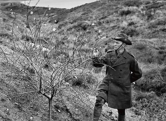 November 7 - The Bolsheviks successfully overthrow the Russian government.