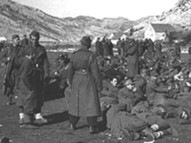 Hitlers war in the Balkans