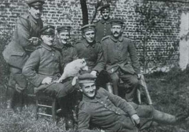 Hitler Injured in the Battle of the Somme