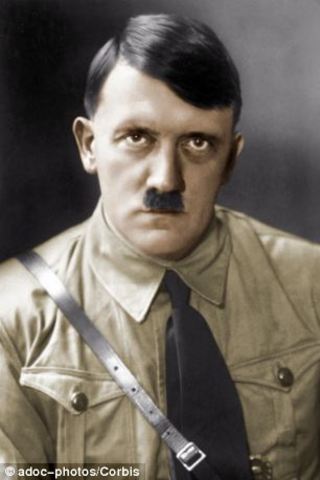 Hitlers rise to power