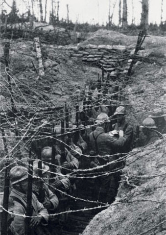 Germans and the Allies Face Each Other (The Western Front)