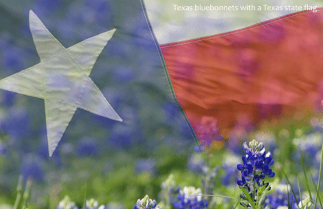 texas becomes the twenty eight state