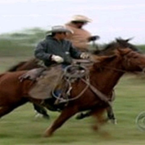 King ranch is established