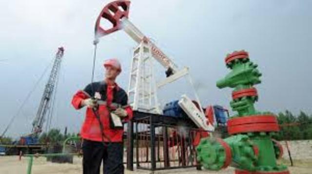 ROCKEFELLER...Rockefeller compra l reserva mas grande del mundo