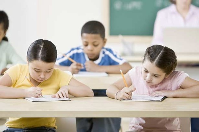 First Standardized Test: Cognative