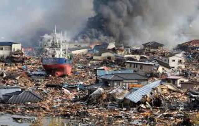 Earthquake and tsunami, Japan (2011)