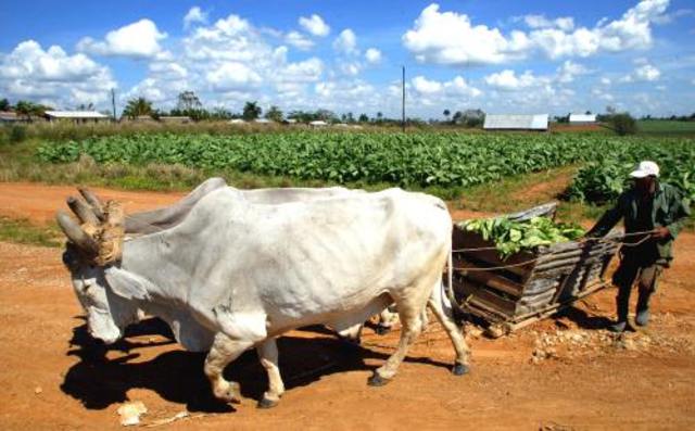 Tecnologia en la Agricultura