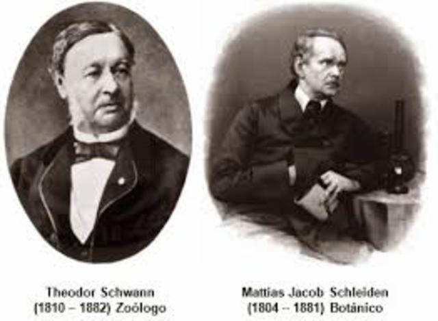 Teoría de la Totipotencia