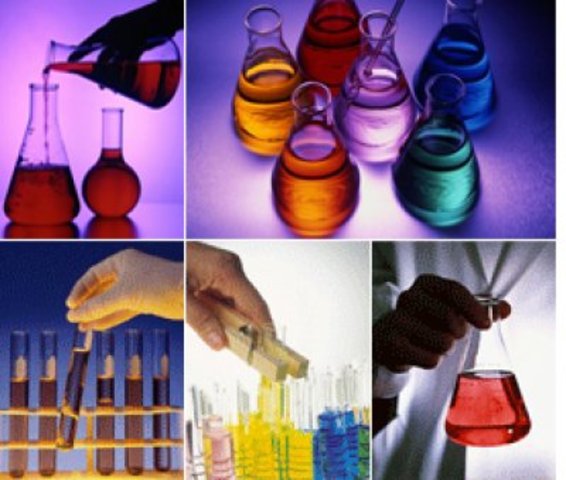 El cultivo sobre un medio nutritivo