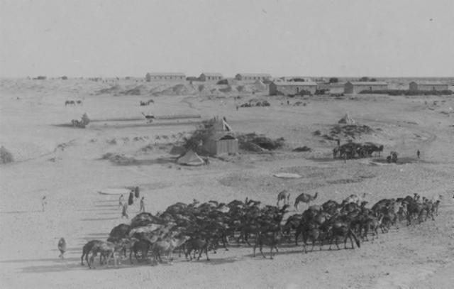The Battle of Magdhaba