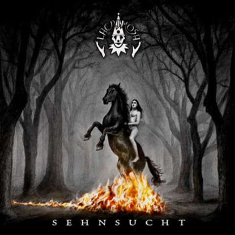 Sehnsucht Special Edition
