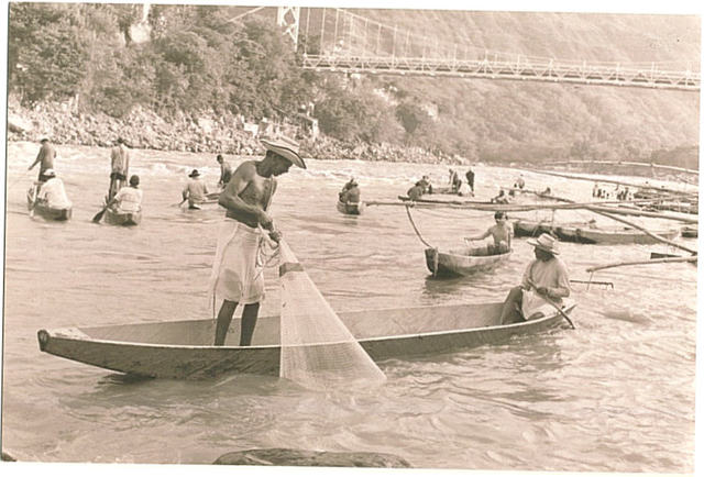 Inicio la carrera de pregrado