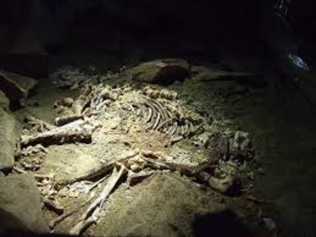 Popularización de los canes