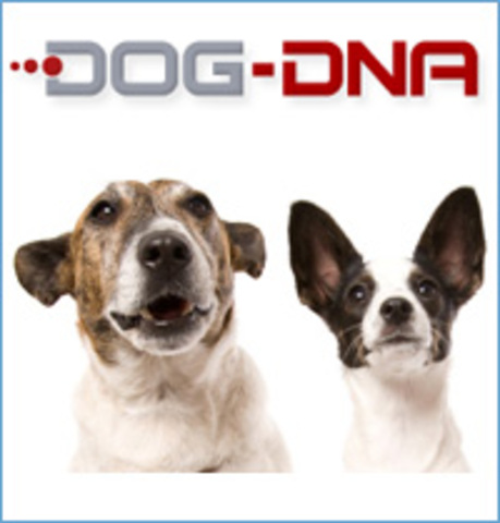 Arbol filogenético con los resultados comparativos entre perros y lobos