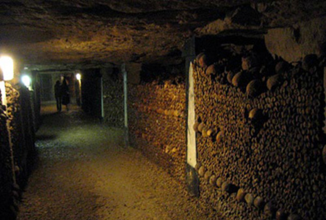 El corto regreso a casa