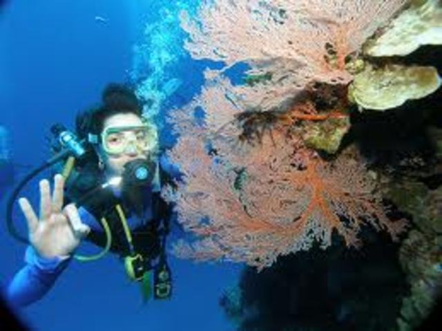 BUCEO DEPORTIVO