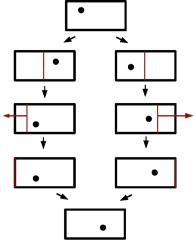 Separació de camins