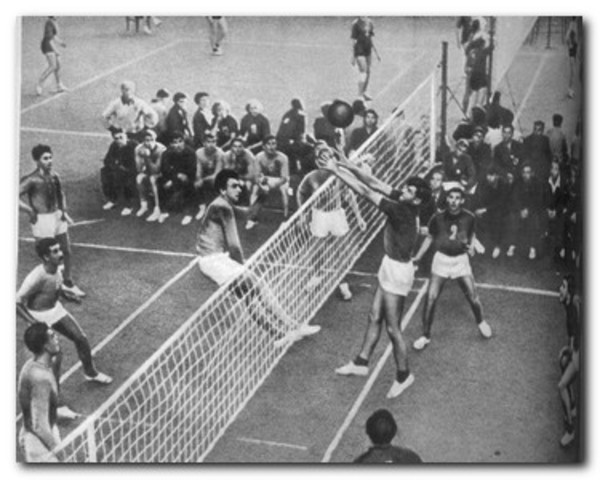 Волейбол показан перед публикой