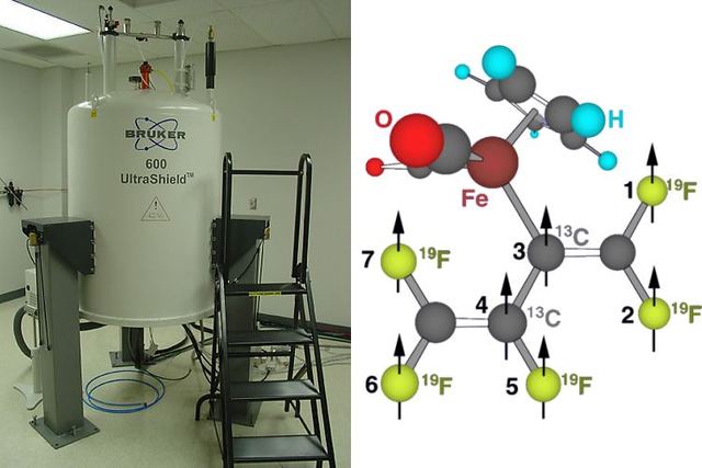 Comença el progrés