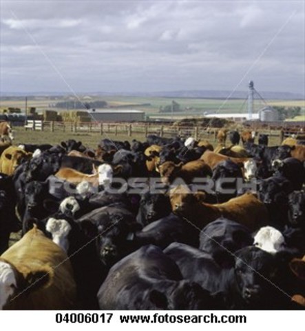 then it increaced to 350,000 headed to abelene kansas